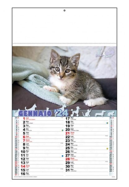 Calendario cani e gatti 2024 D8490