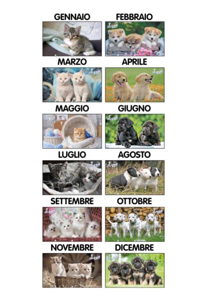 Calendario cani gatti 2024 D8490