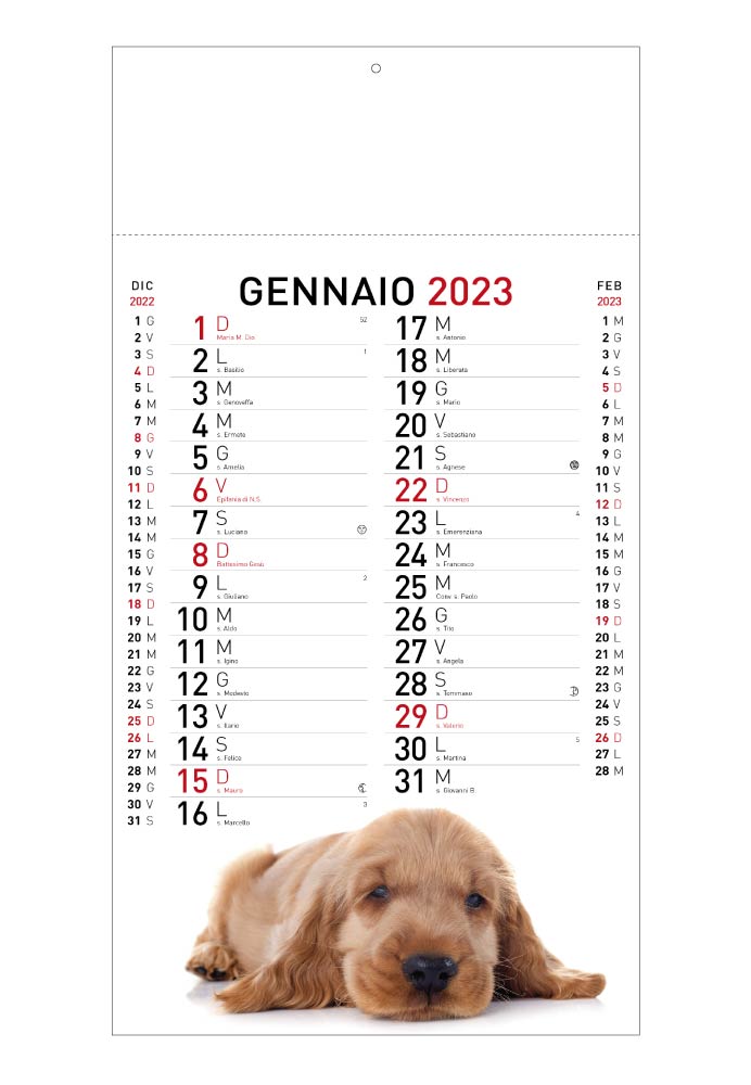 Calendario cani e gatti 2024